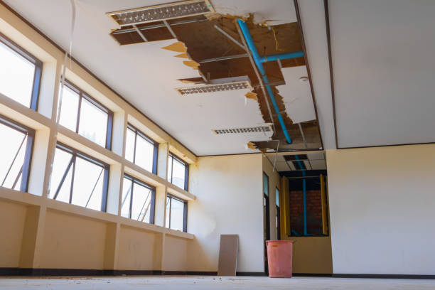 Best Local water damage restoration  in Lely Resort, FL