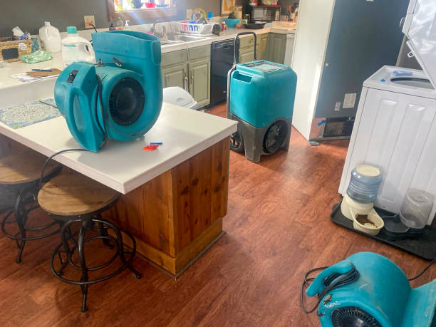 Best Professional water damage repair  in Lely Resort, FL