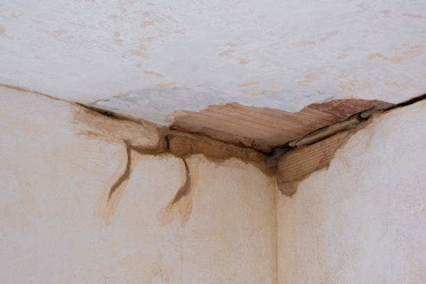 Trusted Lely Resort, FL Water damage restoration Experts