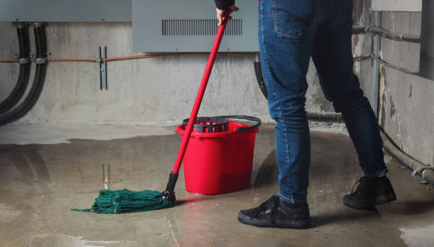 Best Fire Damage Restoration  in Lely Resort, FL