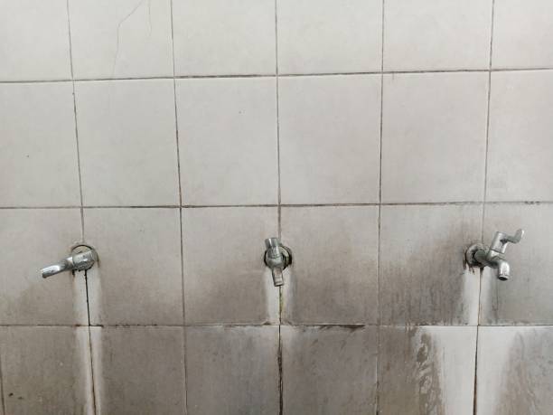Best Residential water damage restoration  in Lely Resort, FL