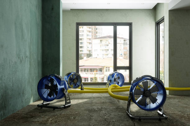 Water damage restoration mold remediation in Lely Resort, FL